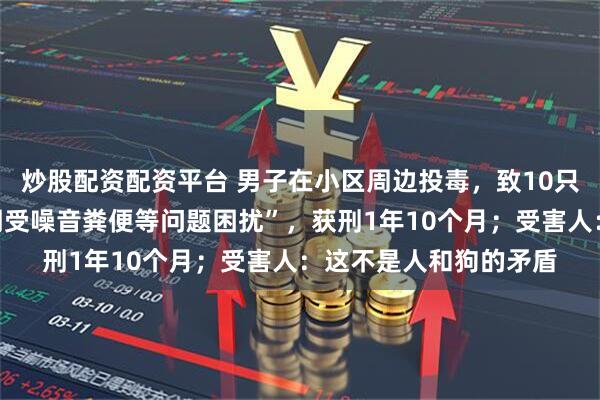 炒股配资配资平台 男子在小区周边投毒，致10只宠物狗死亡：称“长期受噪音粪便等问题困扰”，获刑1年10个月；受害人：这不是人和狗的矛盾