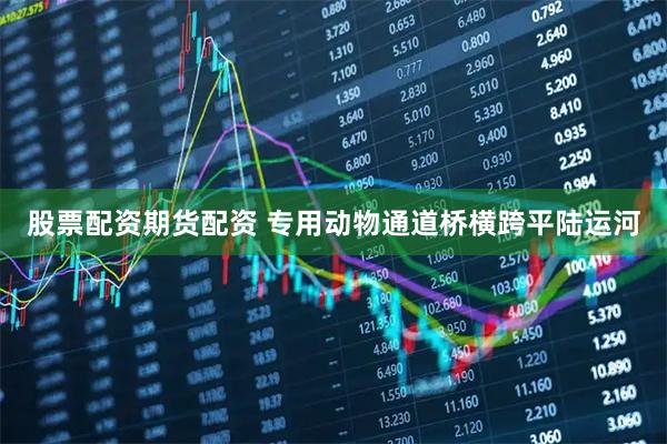 股票配资期货配资 专用动物通道桥横跨平陆运河
